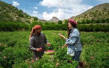 Best Time to Visit Taif for a Day Trip from Jeddah