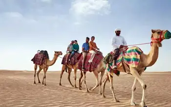 camel ride riyadh