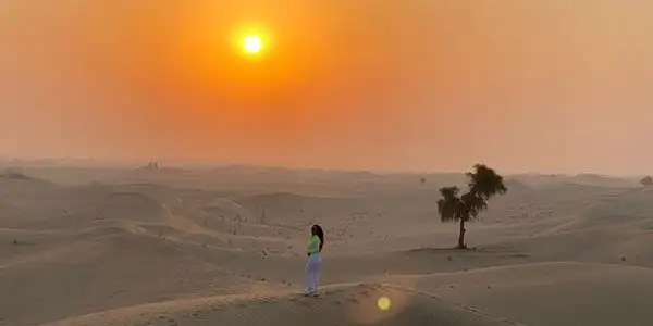 Expectation on Sunrise Desert Safari in Jeddah