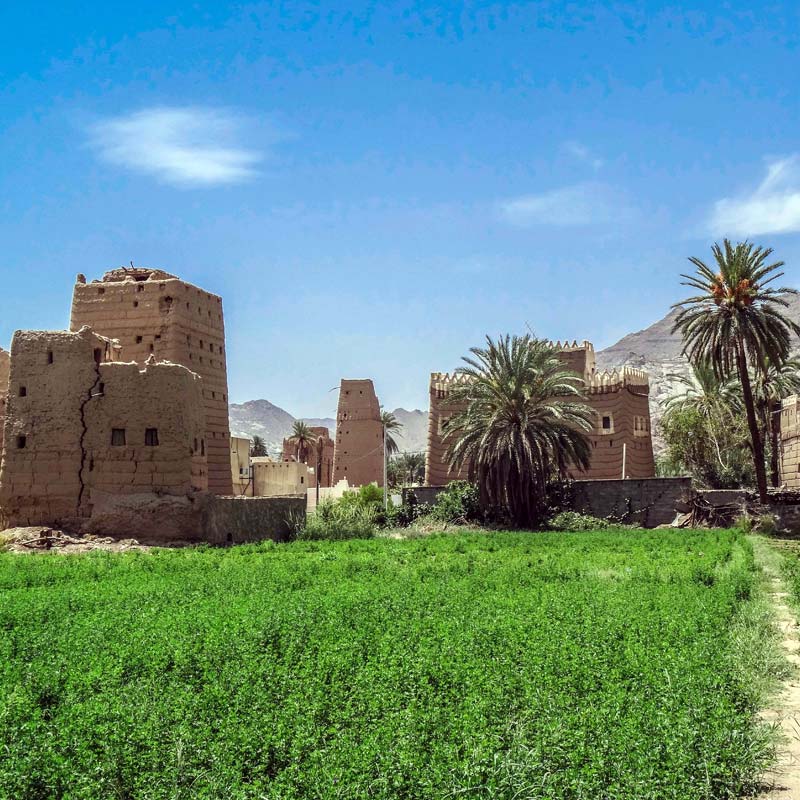 historical al ukhdood tour