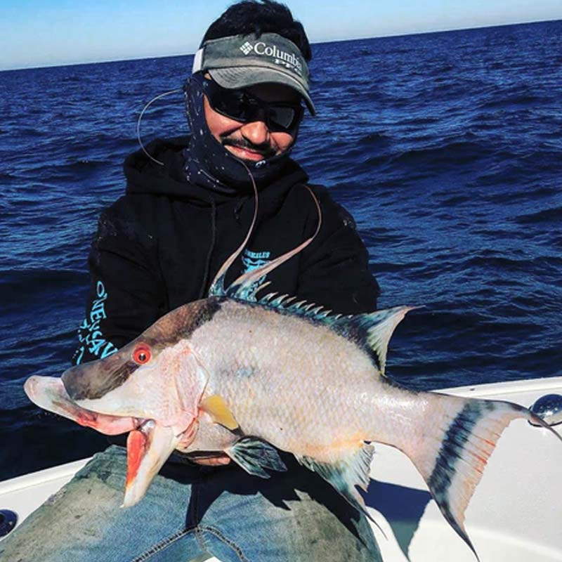 deep sea fishing tour dammam and al khobar