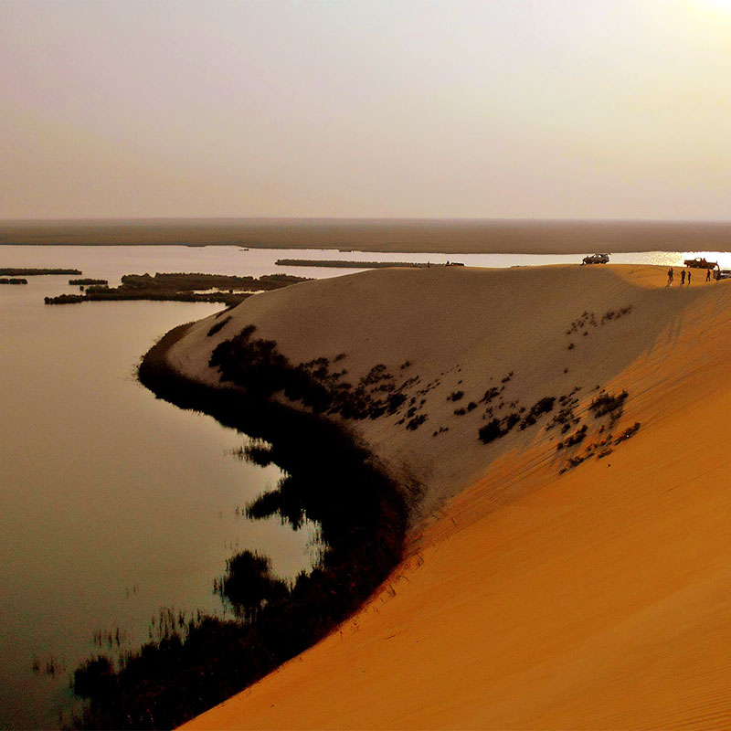 desert safari in al asfar lake