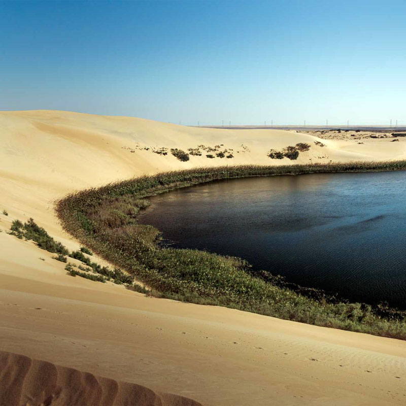 desert safari in al asfar lake