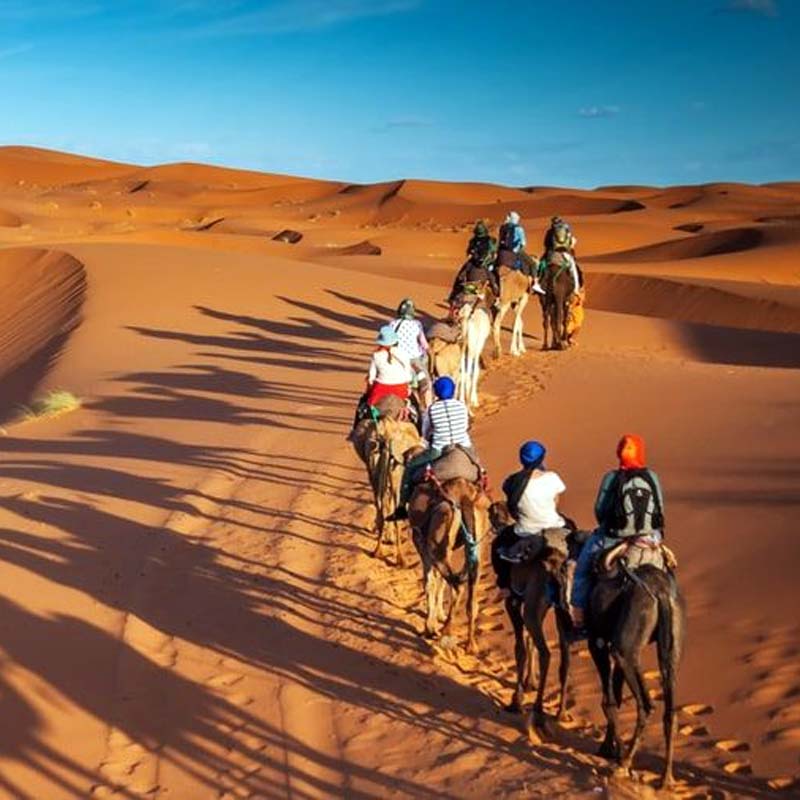 Evening Desert Safari Jeddah-sm