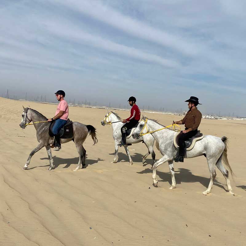 horse riding tour dammam alkhobar
