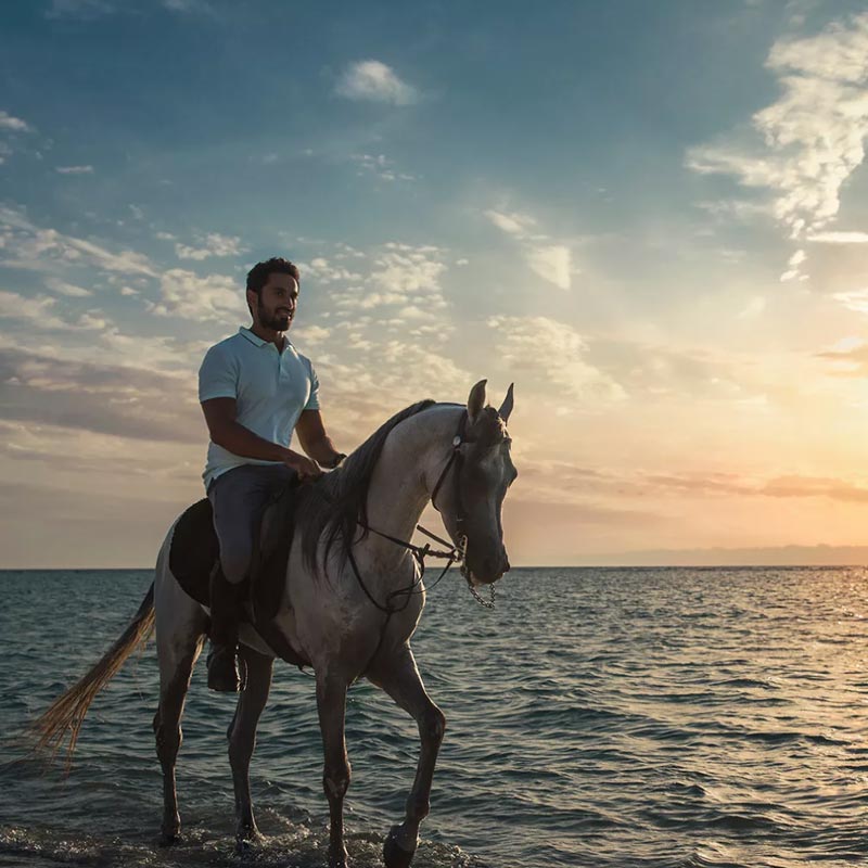 desert horse riding jeddah-sm