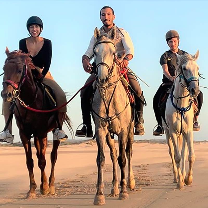desert horse riding jeddah-sm