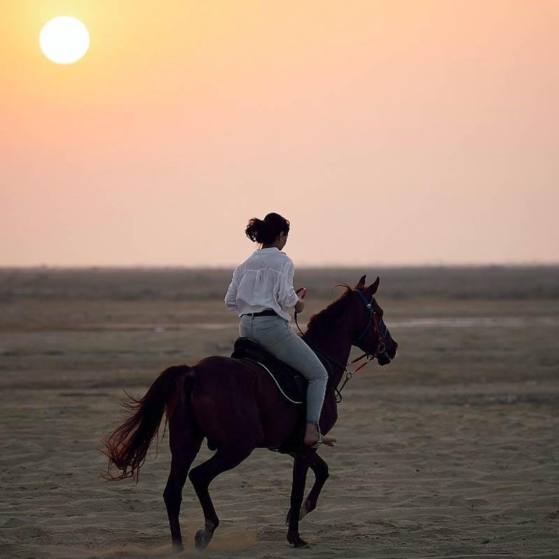 desert horse riding tour riyadh-sm