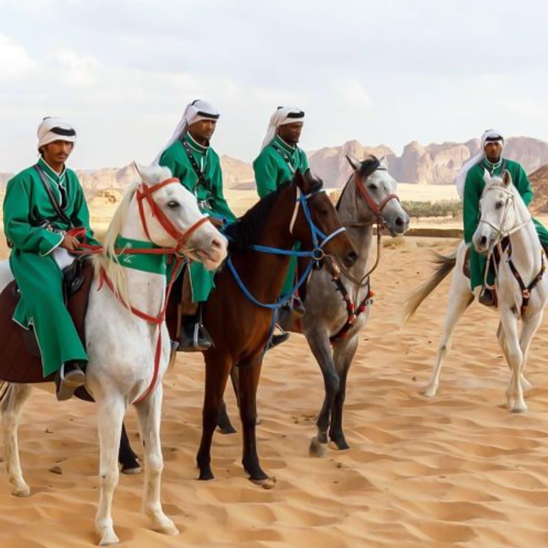 desert horse riding tour riyadh-sm