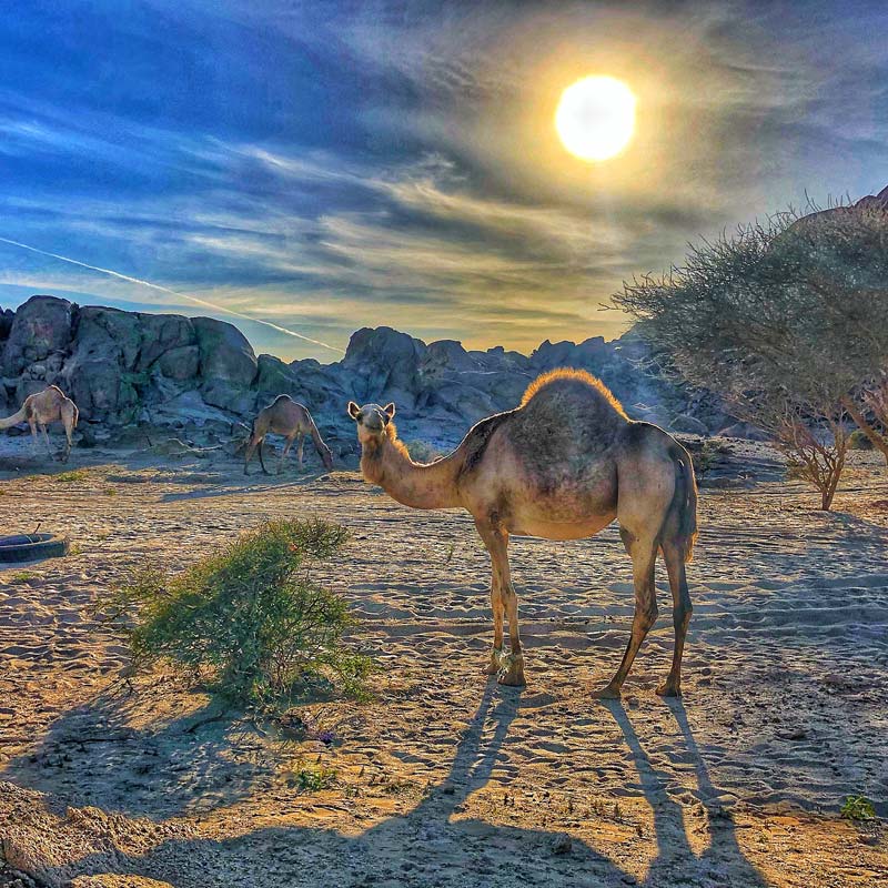 moon valley hike from jeddah-sm