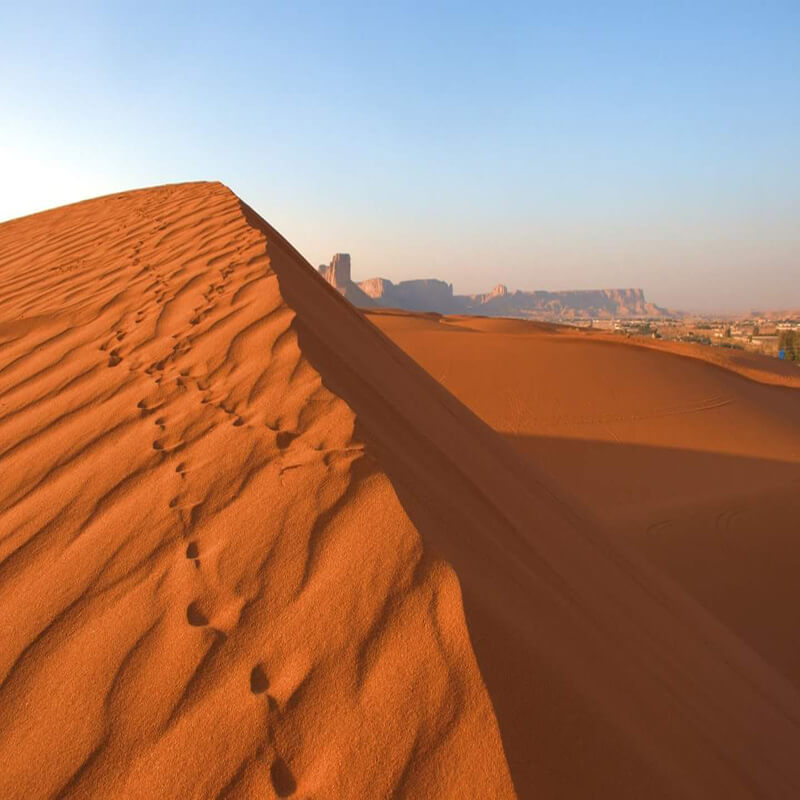 Morning Desert Safari Riyadh-sm