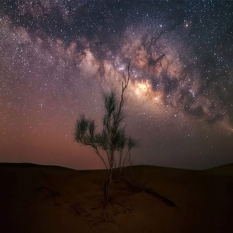 Overnight Desert Safari Riyadh-sm