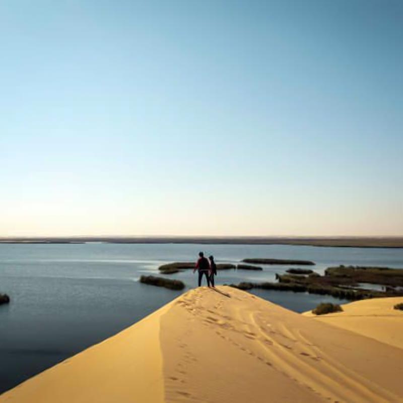 private dune dinner al asfar lake