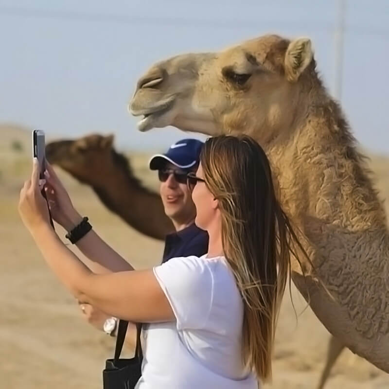 romantic dune dinner jeddah-sm