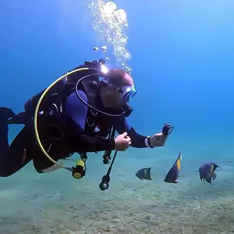 scuba diving dammam al khobar