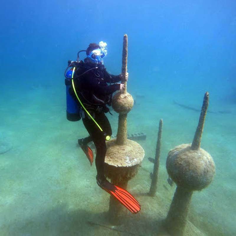 scuba diving dammam al khobar
