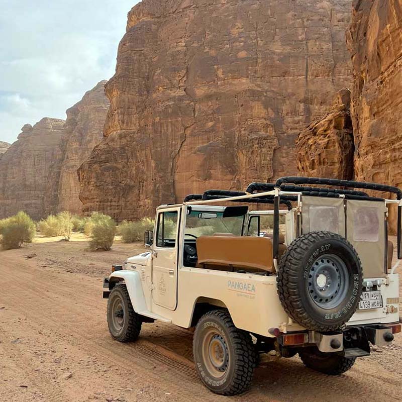 sharaan safari tour alula