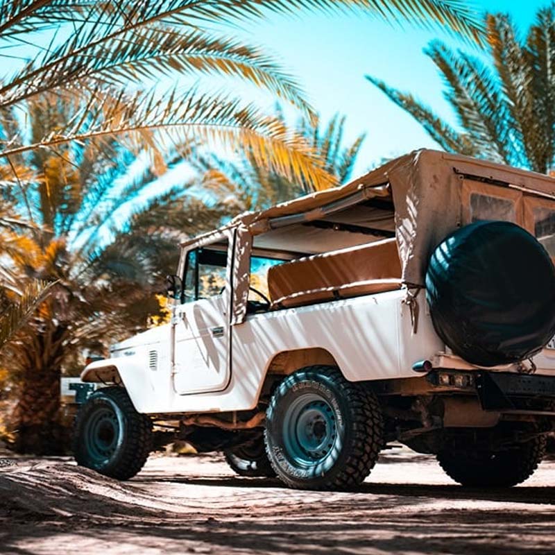 sharaan safari tour alula