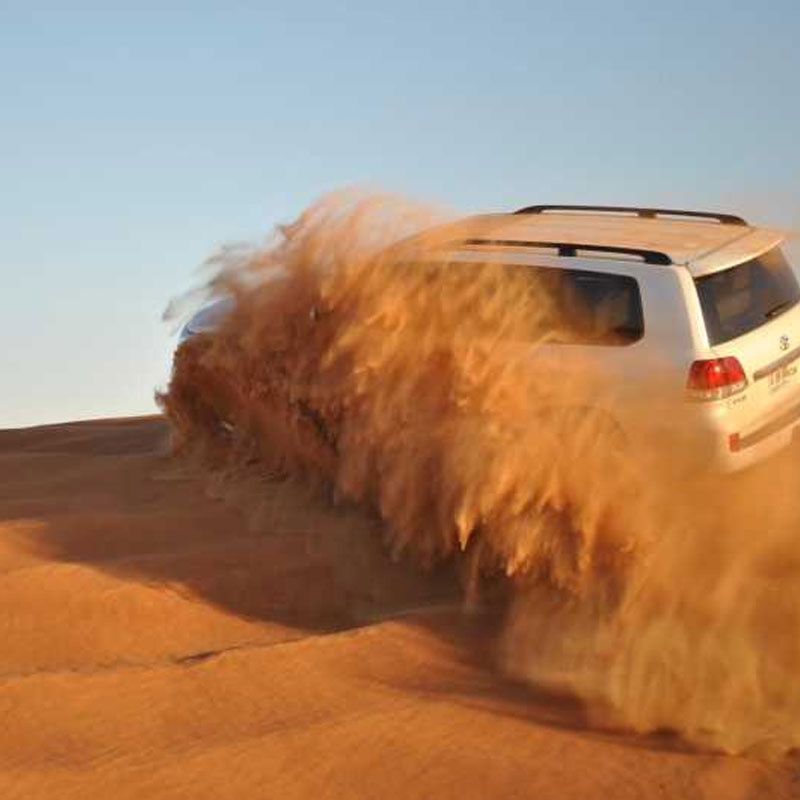 sunrise desert safari riyadh-sm
